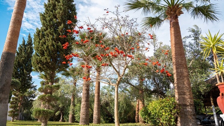 Hammamet Garden Resort & Spa